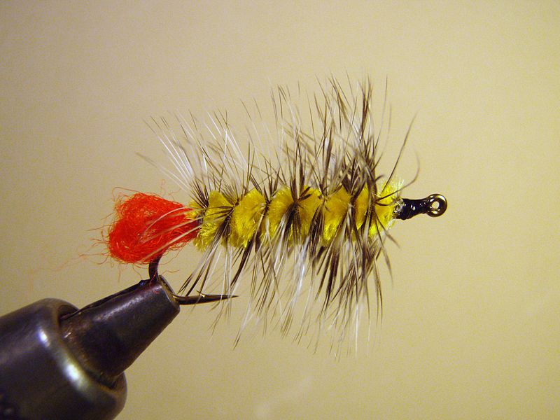 A finished woolly worm fly.